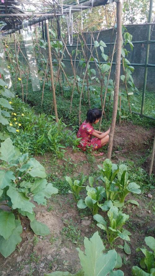 A child looking toward a hopeful future